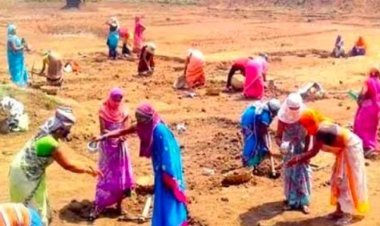 पाली मनरेगा श्रमिकों मिले उनका हक पूर्व बकाया भुगतान देने की पुरजोर की मांग