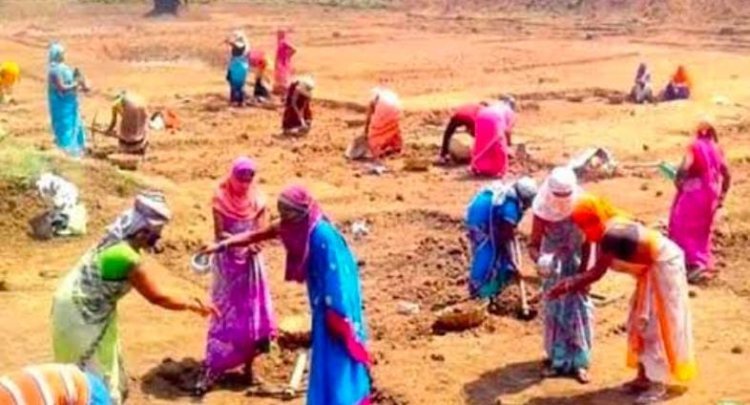 पाली मनरेगा श्रमिकों मिले उनका हक पूर्व बकाया भुगतान देने की पुरजोर की मांग