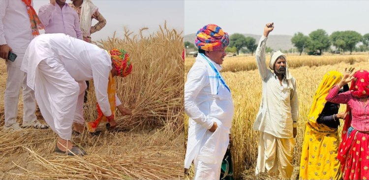 भाजपा प्रत्याशी कन्हैया ने किसान का बंटाया हाथ  कांग्रेस प्रत्याशी मुरारी भी किसानों से मिले