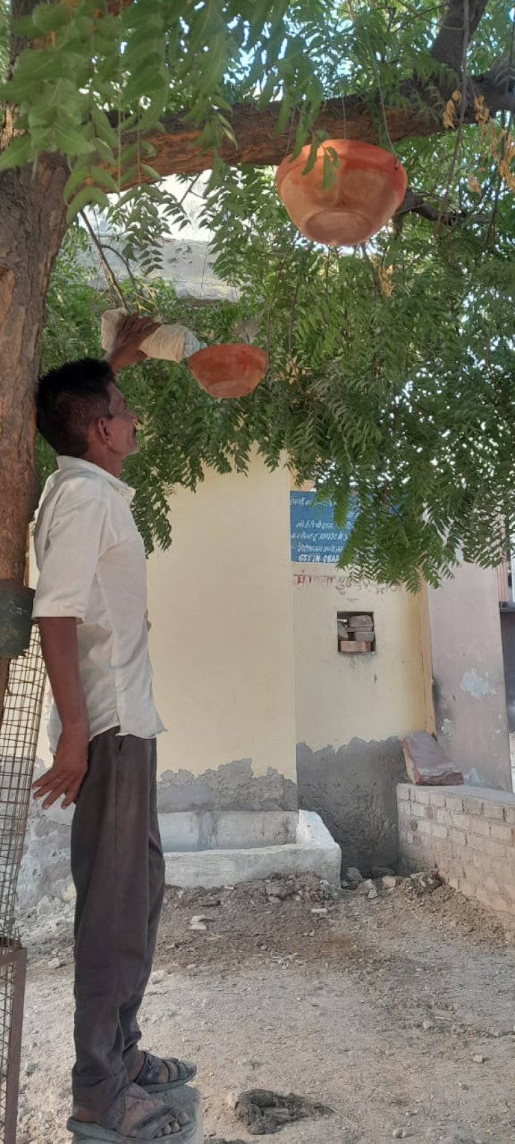 पक्षियों के लिए परिंडे लगाने कर दिए आरंभ जल्द करेंगे लक्ष्य पुरा