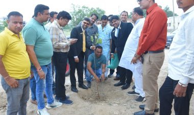 जेसीआई इंडिया ने बांगड़ महाविद्यालय में किया वृक्षारोपण