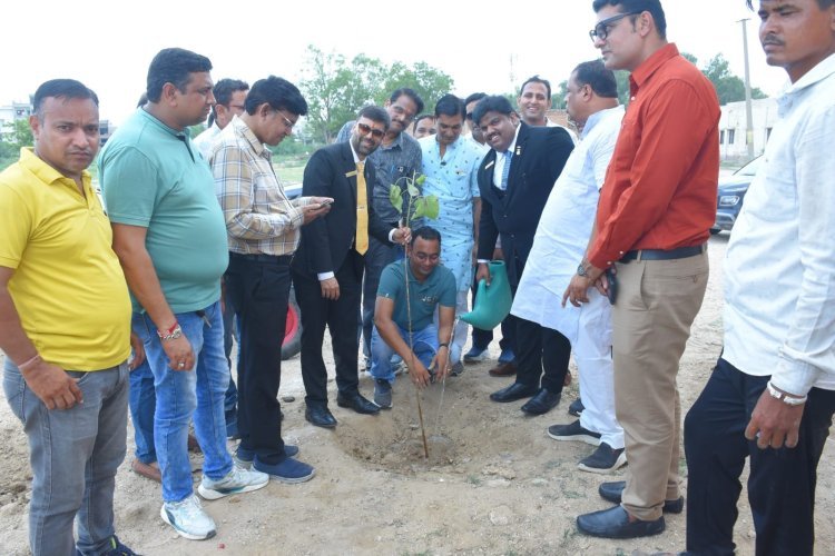 जेसीआई इंडिया ने बांगड़ महाविद्यालय में किया वृक्षारोपण