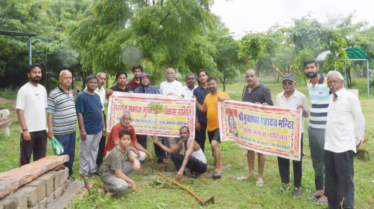 वृक्षारोपण कर लिया सेवा का संकल्प