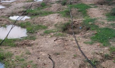 जेसीआई पाली डायनेमिक करेगी पांच हजार वृक्षारोपण