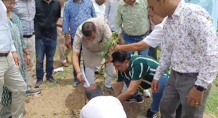 जेसीआई द्वारा एक साथ लगाएं 5 हजार पौधे