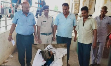 राष्ट्रीय पक्षी मोर ट्रेन की चपेट से मौत 