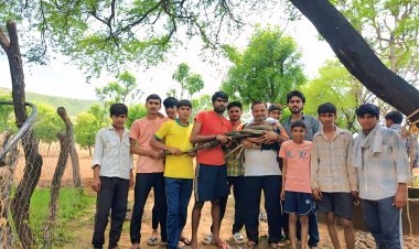 राष्ट्रीय पक्षी को गहरी कोटी से निकालकर बचाई जान