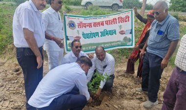 Pali Lions Club Pali City planted trees