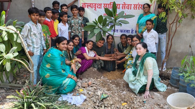 Greenery is a symbol of prosperity Tripti Pandey