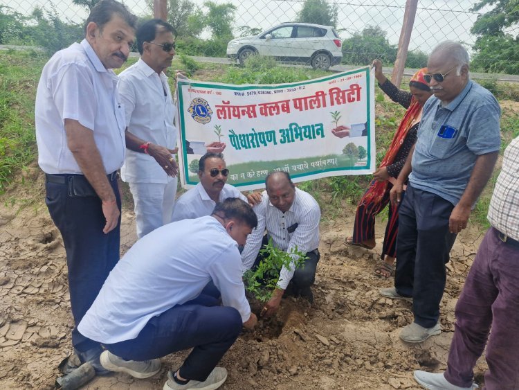 Pali Lions Club Pali City planted trees
