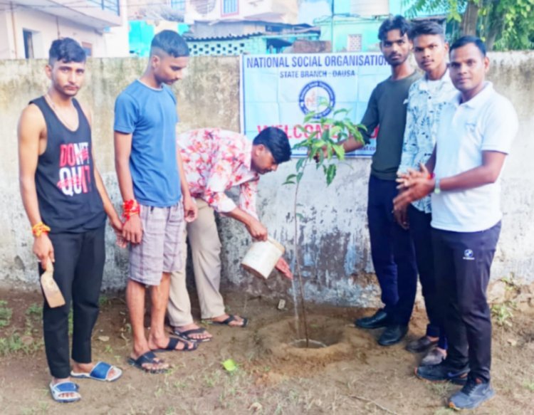 एक पेड़ माँ के नाम अभियान के तहत माता की 13 वीं पुण्यतिथि पर किया पौधारोपण