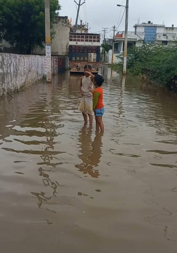 बारिश के पानी की निकासी नहीं होने से परेशान कॉलोनी वाशियों ने कलक्टर को दिया ज्ञापन