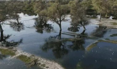 प्रदूषण के मामले में सुप्रीम कोर्ट में होगी सुनवाई           