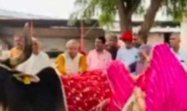 गोपाष्टमी पर श्री राम गौशाला में  हुआ आयोजन       