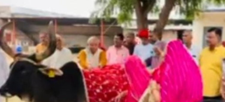 गोपाष्टमी पर श्री राम गौशाला में  हुआ आयोजन       