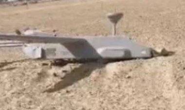 पाक की हो सकती है साजिज   