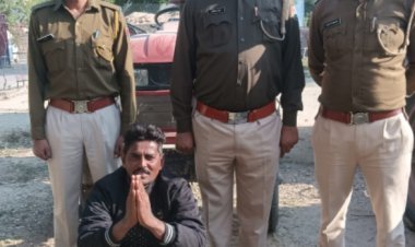 अवैध बजरी खनन परिवहन के विरूद्ध पाली की कार्यवाही