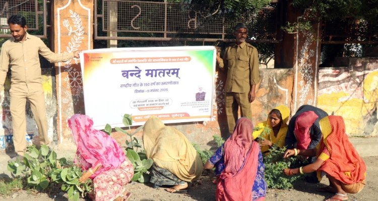 नगरीय निकायों में हुये विविध आयोजन