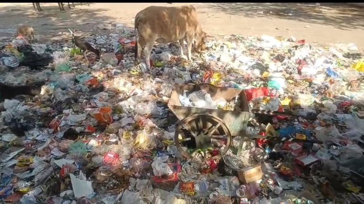 चांदपोल क्षेत्र में सफाई व्यवस्था चरमराई     