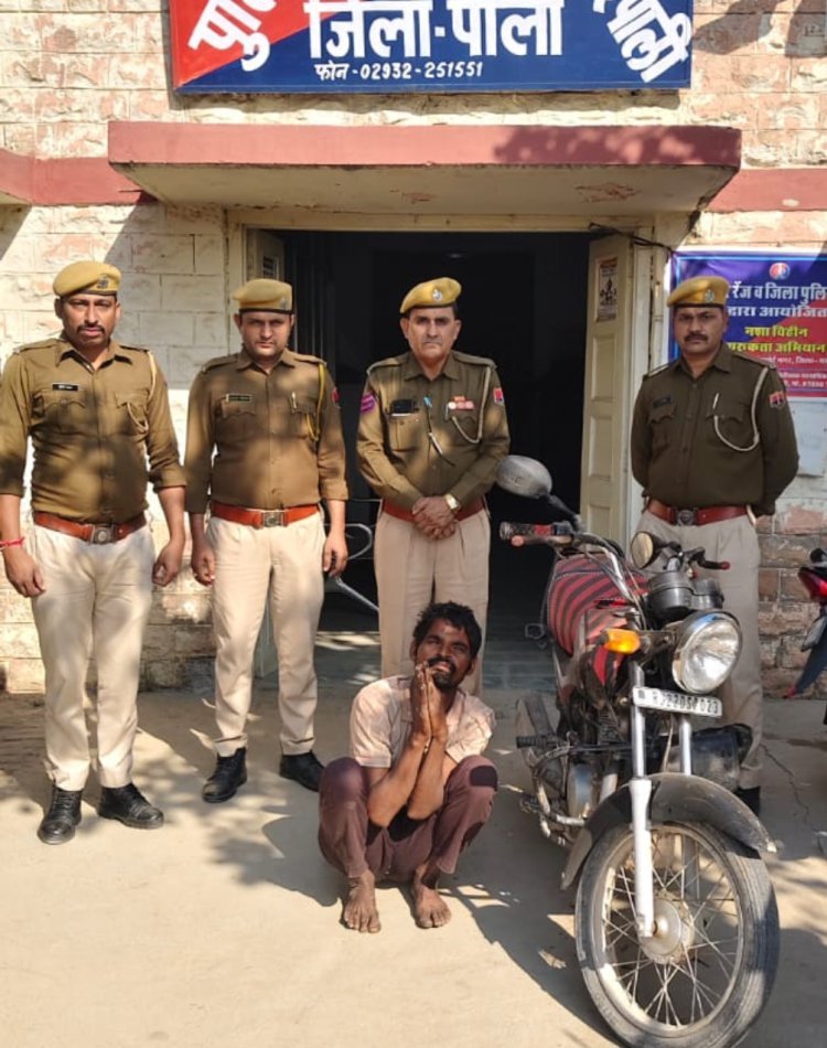 वाहन चोर गिरफ्तार       