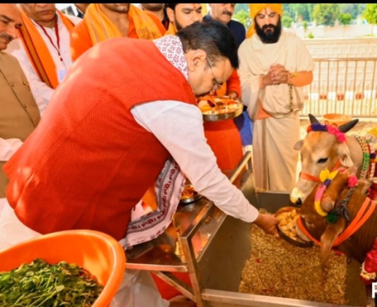 मुख्यमंत्री ने बाली में 110 करोड़ रुपये से ज्यादा के विकास कार्यों का लोकार्पण