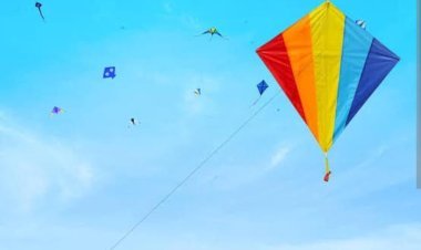 पाली जिले में धातु निर्मित मांझा और पतंगबाजी पर रहेगा