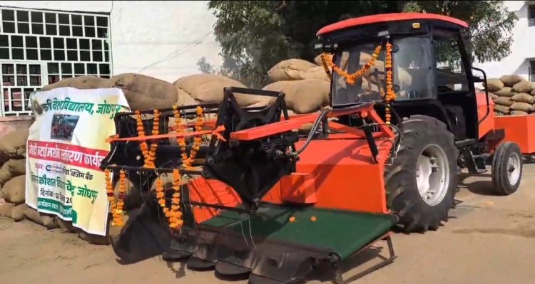 सोजत की मेहंदी उत्पादन को लगेंगे पंख