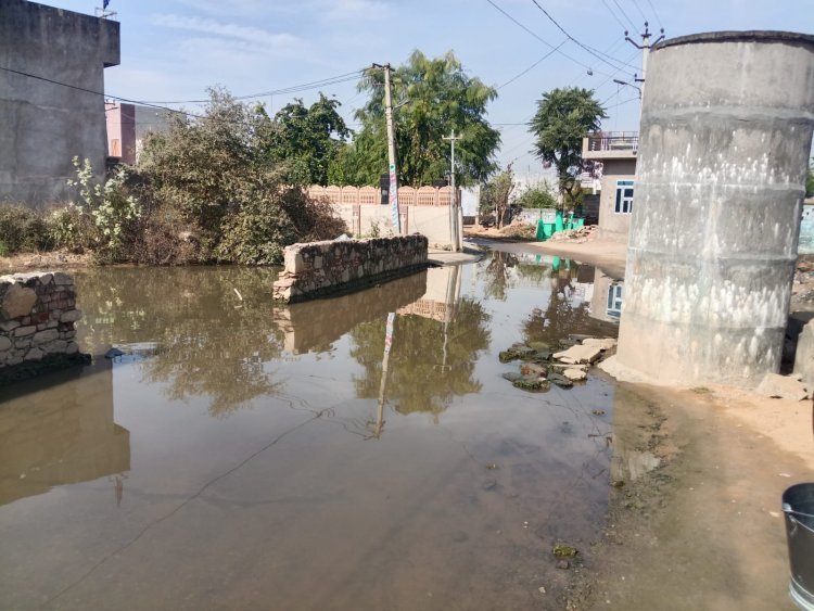 नगर पालिका बांदीकुई के वार्ड नंबर 40 में नाली का गंदा पानी भरने की गंभीर समस्या से जनता परेशान