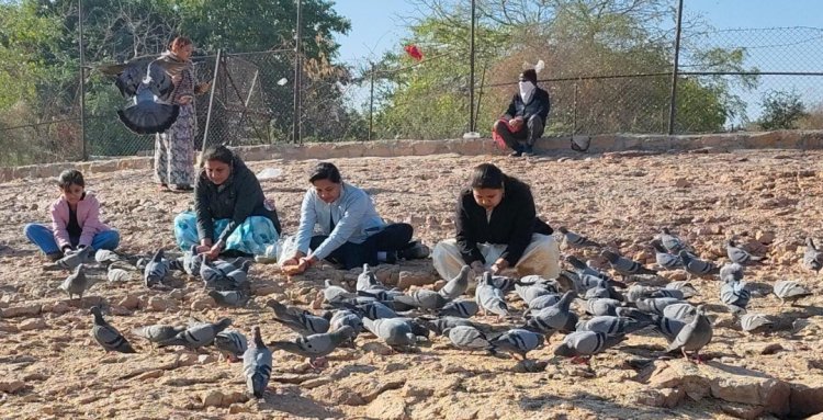 गौ सेवा व पक्षी सेवा कर मनाया रविवार सेवा दिवस