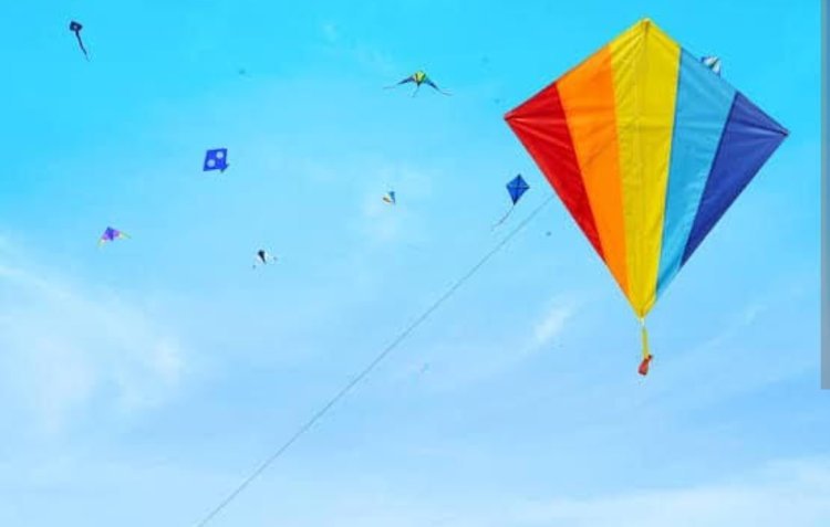 पाली जिले में धातु निर्मित मांझा और पतंगबाजी पर रहेगा