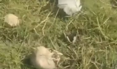 बांडी नदी में मिला ललित का कंकाल     