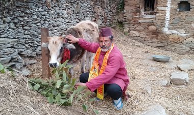 भारत मैं आज गाय की दुर्गति क्यों ? कौन है जिम्मेदार ?