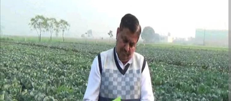 पाला व शीत लहर से बचाव 