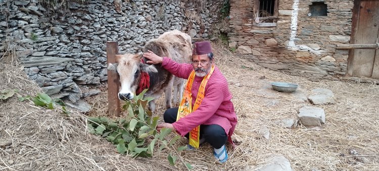 भारत मैं आज गाय की दुर्गति क्यों ? कौन है जिम्मेदार ?