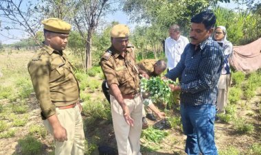 चंडावल पुलिस ने खेत से अफीम के पौधे जब्त किए,ऑपरेशन प्रहार के तहत सोजत के बासना गांव में की कार्रवाई, एक आरोपी गिरफ्तार....।