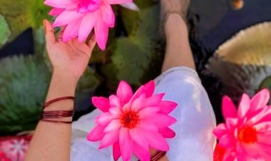 ताल में कमल खिलखिलाया है