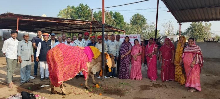 पाली में ‘सरस राजसखी मेला  एक लाख से अधिक की बिक्री