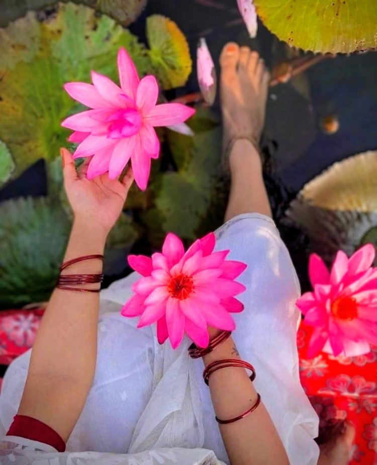 ताल में कमल खिलखिलाया है