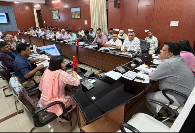 मिशन हरियालो ंराजस्थान की तैयारियो के लिये दिये निर्देश