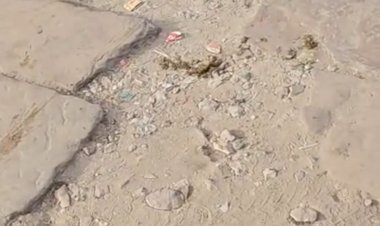 शहर की सड़क व सफाई व्यवस्था की हालत खस्ता         