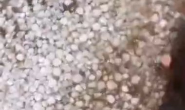 बारिश के साथ गिरे ओले       