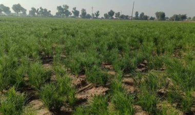 राज्य मेँ 7व 8अप्रैल को मौसम में होगा बदलाव                   