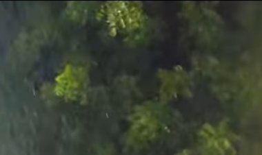 मौसम ने ली करवट हुई बारिश   