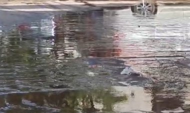 जोधपुर शहर के लिए सफाई व्यवस्थाओं की कोई शुद लेने वाला भी नहीं।