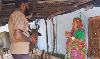 आवारा पशुओं पर सख्ती: नगर पालिका ने शुरू की विशेष अभियान की तैयारी