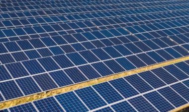 700 नए उपभोक्ता अपना रहे सोलर* 