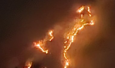 कुंभलगढ़ वन्यजीव अभ्यारण्य के जंगलों में भड़की भीषण आग     