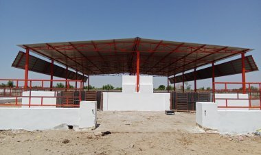 सवराड़ गौशाला में प्याऊ, डॉम, गौ प्रतिमा का शुभारम्भ   50 लाख की लागत से तैयार प्याऊ, गौमाता प्रतिमा, एक डॉम का होगा उद्घाटन। 