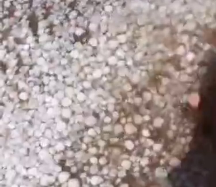 बारिश के साथ गिरे ओले       