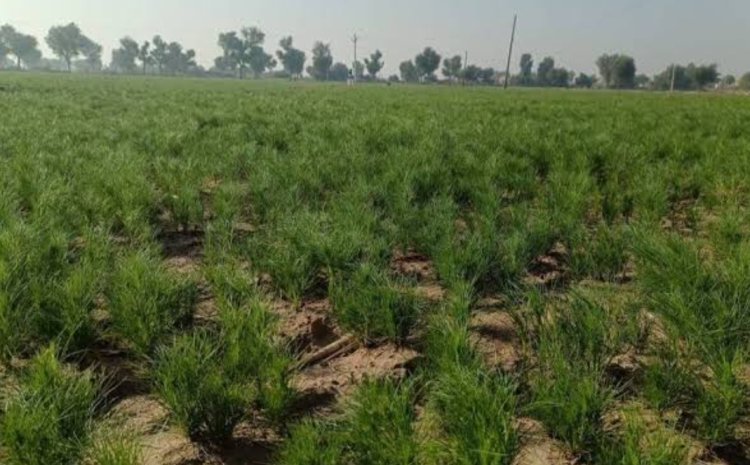 राज्य मेँ 7व 8अप्रैल को मौसम में होगा बदलाव                   